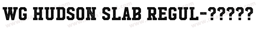 WG Hudson Slab Regul字体转换
